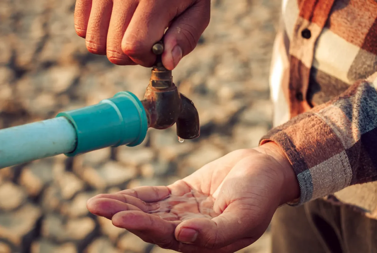 Expert tips to curb water woes  
